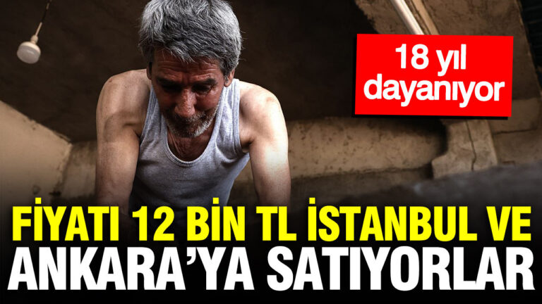 Haber gorseli